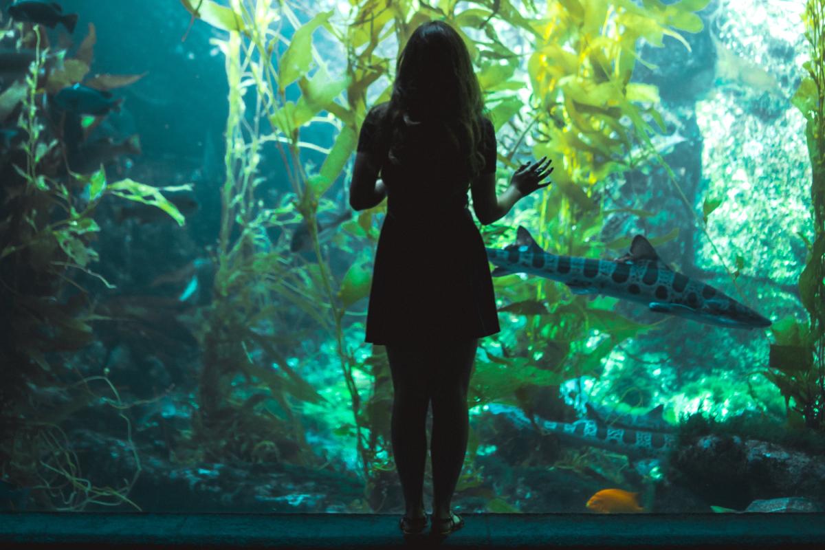 Top Connecticut Attractions for Families 7 Top Connecticut Attractions for Families