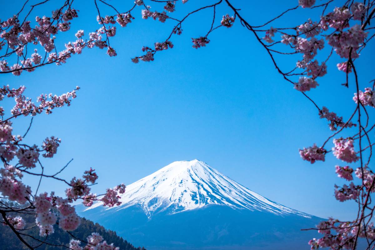 Unraveling Japan's Urban Jewels: The Best Cities to Visit for an Unforgettable Adventure