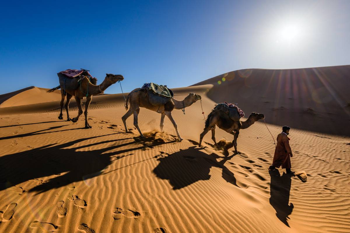 Unveiling Marrakech: Top Things to Do in the Red City and Beyond! 1 Unveiling Marrakech: Top Things to Do in the Red City and Beyond!