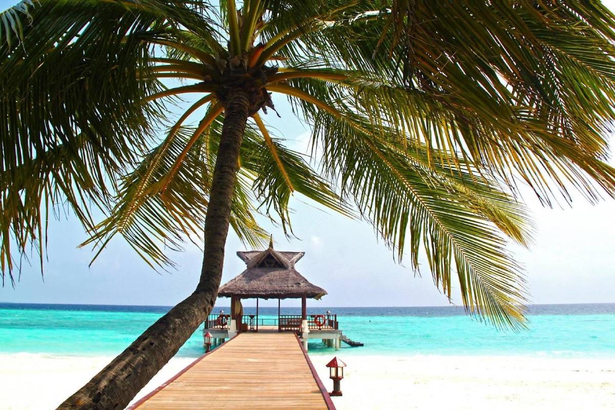 5 Tips to Stay Clear of Misleading Hotel & Travel Ads 33 5 Tips to Stay Clear of Misleading Hotel & Travel Ads