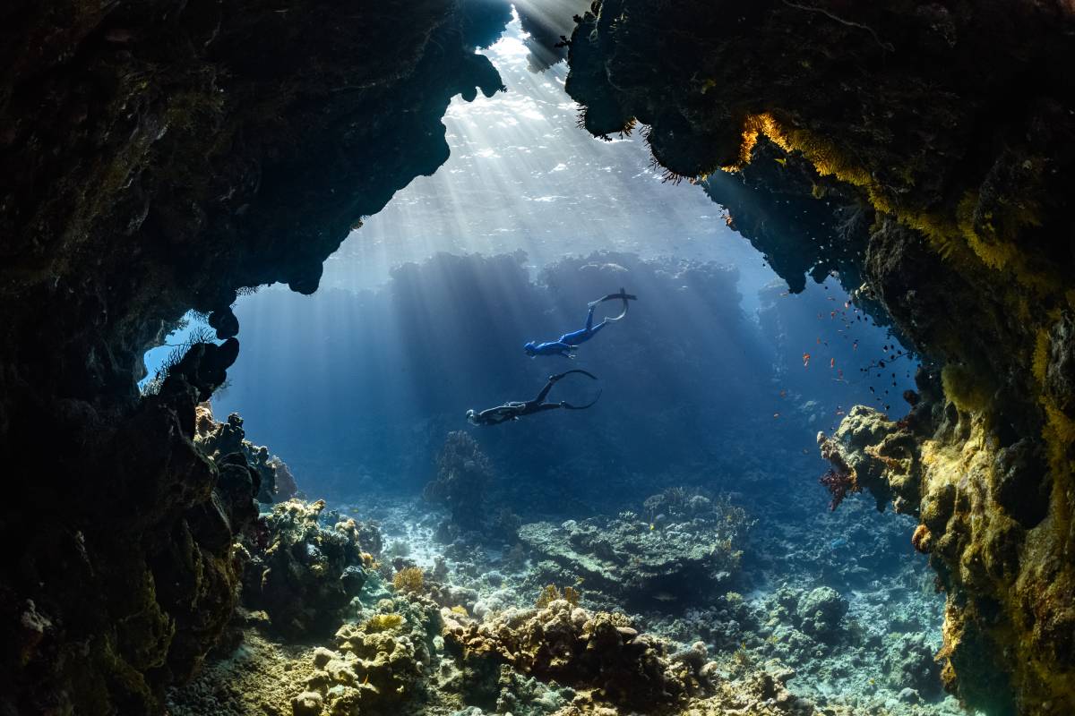 Top Scuba Diving Destinations in the World (Ranked) 22 Top Scuba Diving Destinations in the World (Ranked)