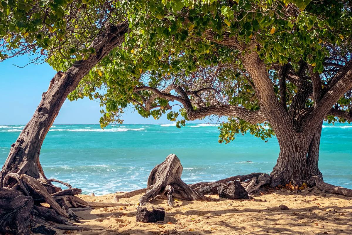 Where to Stay in Hawaii: Discovering Hidden Treasures Beyond the Beaten Path 13 Where to Stay in Hawaii: Discovering Hidden Treasures Beyond the Beaten Path