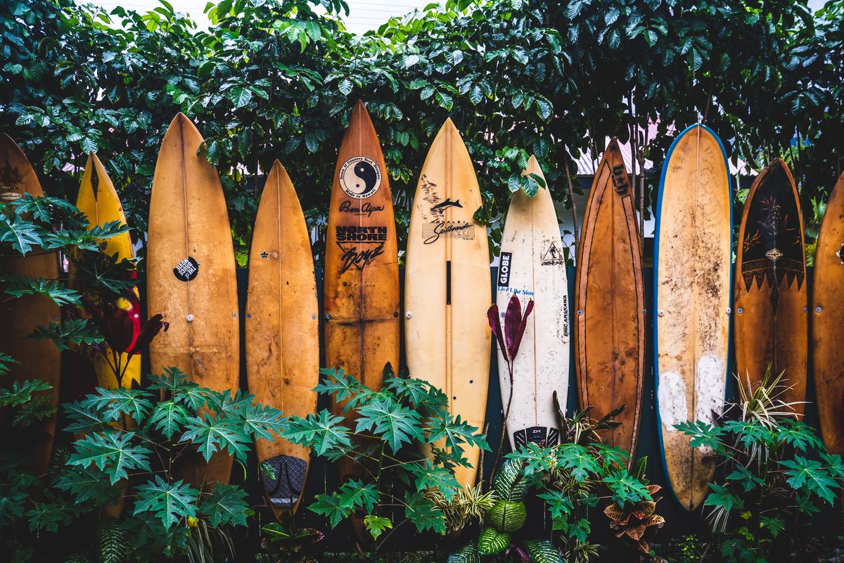 Can I Take a Surfboard on a Plane? Navigating the Waves of Air Travel Regulations 1 Find out if you can take a surfboard on a plane here