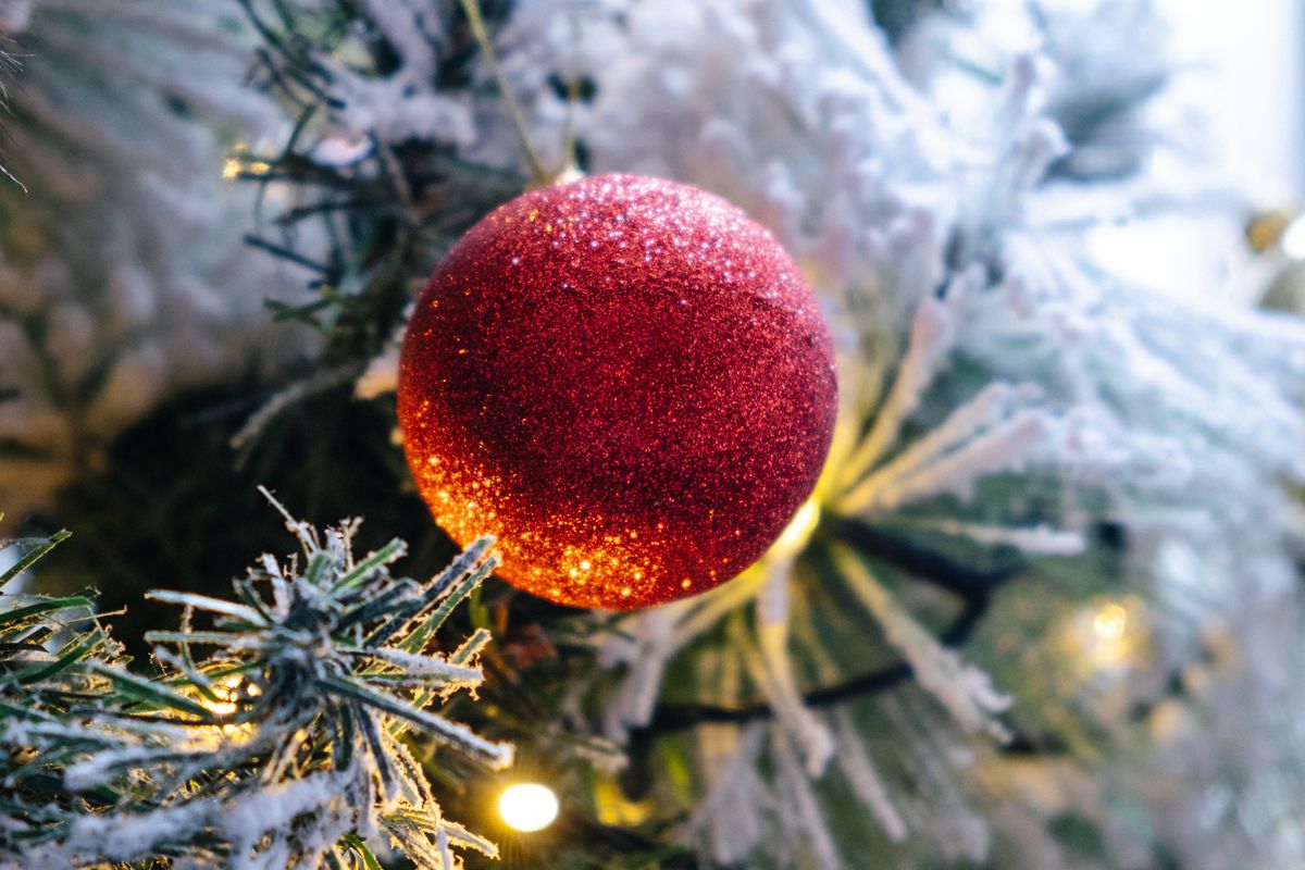 Can You Take a Christmas Tree on a Plane? A Festive Guide for Travelers 1 Wonder if you can bring a Christmas Tree on a Plane? Find out here.