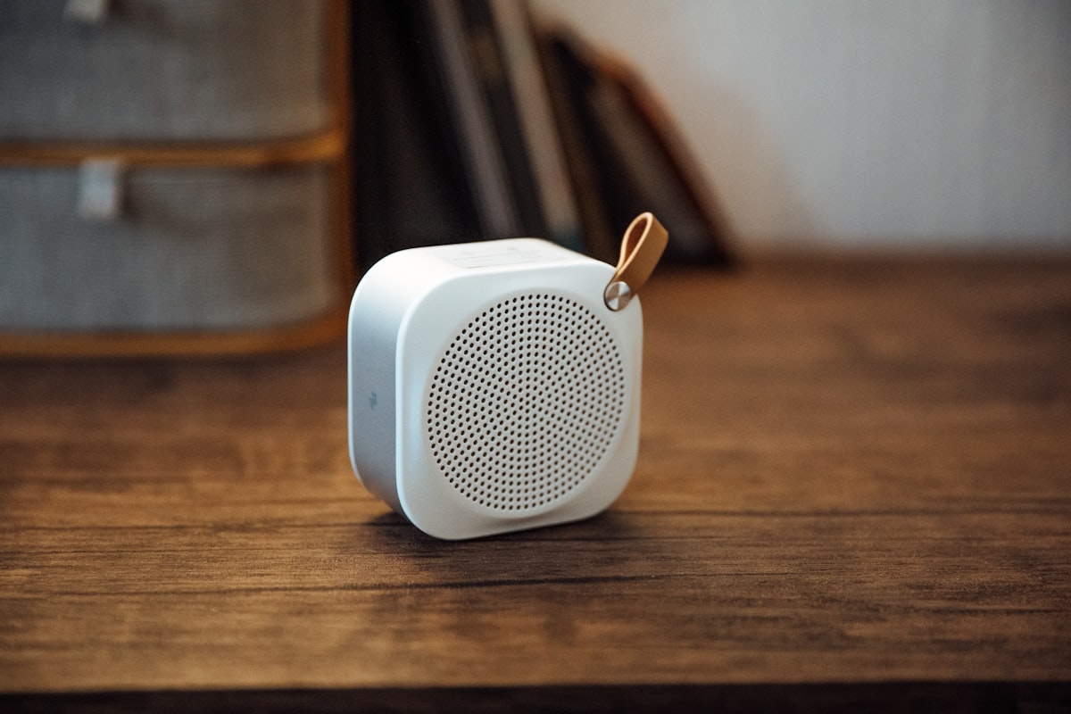 Can You Bring a Portable Speaker on a Plane? 14 Can You Bring a Portable Speaker on a Plane?