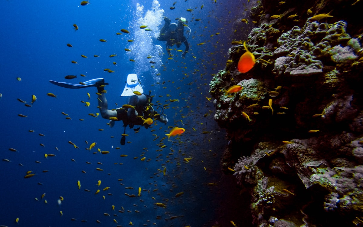 Can You Bring Scuba Tanks on a Plane? 13 Can You Bring Scuba Tanks on a Plane?
