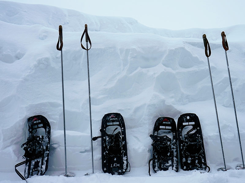 Can You Bring Snowshoes on Planes? 1 Snow shoes and ski poles in snow