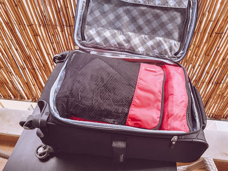 How to Get Bed Bugs out of Your Suitcase (Guide)